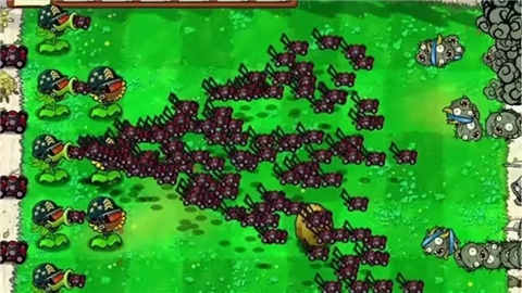 1792554374393155.jpg
